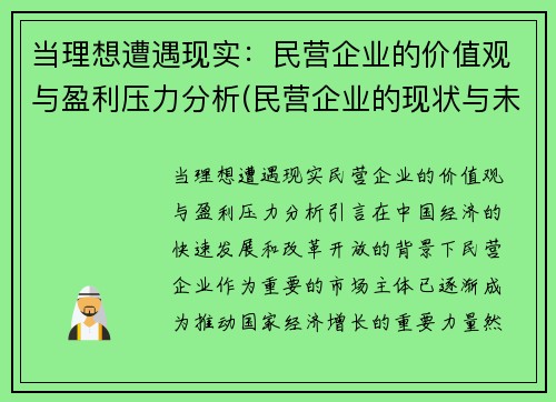 当理想遭遇现实：民营企业的价值观与盈利压力分析(民营企业的现状与未来发展)