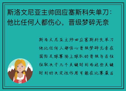 斯洛文尼亚主帅回应塞斯科失单刀：他比任何人都伤心，晋级梦碎无奈