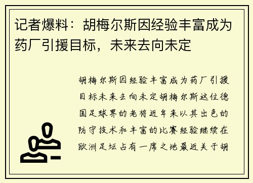 记者爆料：胡梅尔斯因经验丰富成为药厂引援目标，未来去向未定