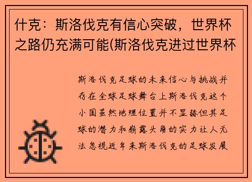 什克：斯洛伐克有信心突破，世界杯之路仍充满可能(斯洛伐克进过世界杯吗)