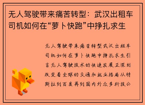 无人驾驶带来痛苦转型：武汉出租车司机如何在“萝卜快跑”中挣扎求生