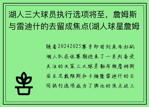 湖人三大球员执行选项将至，詹姆斯与雷迪什的去留成焦点(湖人球星詹姆斯)